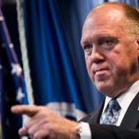ICE Director: Illegal Immigration Not Going To Be OK Anymore