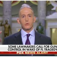 Trey Gowdy Goes on Fox News, Drops a Bomb About Law Preventing Next Mass Killing [VIDEO]