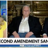 WATCH: Sanctuary County Formed In Illinois – To PROTECT Gun Owners [Details]