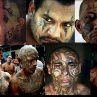White House Releases Statement on ‘The Violent Animals of MS-13’
