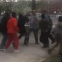 SHOCK VIDEO: Muslim Mob Storms Maine Park – Beats Park Goers with Sticks and Fists While Laughing
