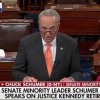 Schumer Demands Congress Wait Until After Midterm Elections to Confirm Kennedy Replacement (VIDEO)