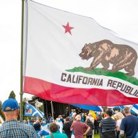 DREAMers tell of going ballot-harvesting in California to flip the House blue