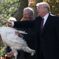 Hah! President Trump Pardons White House Turkeys, Then Takes Swipe at Democrats and 9th Circuit (VIDEO)