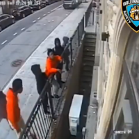 4 Black Teens Hurl Pole Through Synagogue Window at Sabbath Prayers, Media Silent (VIDEO)