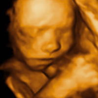Rhode Island Moves One Step Closer To Expanding Abortion (Murder) Rights To 40 Weeks