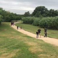 VIDEO: Hundreds of Haitians, Africans wade through Rio Grande, stroll into USA — carrying luggage!