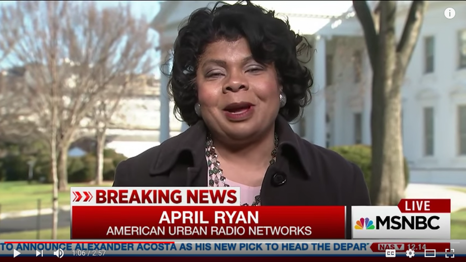 CNN's April Ryan Explains Bodyguard's Assault on Journalist to CNN ...