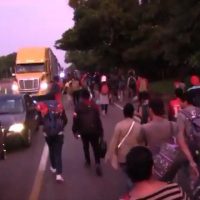 VIDEO: Migrants from Africa, Caribbean in NEW caravan dress in Gucci, Nike, Tommy Hilfiger