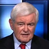NEWT GINGRICH: Democrats Being Transformed Into Anti-American And Radical Party