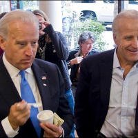 SUIT: Biden brother sold access to White House — then didn’t deliver