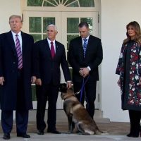 Video: President Trump Honors War Hero Dog Conan; Holds Private Meeting With Hero Soldiers Who Took Out ISIS Leader al-Baghdadi