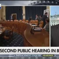 CHRIS WALLACE: ‘If not moved by’ Yovanovitch testimony, ‘you don’t have a pulse’