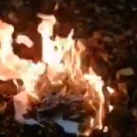 WATCH: Video of Man Claiming to Be Burning Stolen Trump Ballots Goes Viral on Social Media