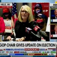 Michigan GOP: Software That Stole 6,000 Votes From Trump in One County Used in 47 Counties